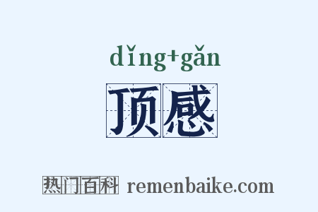 顶感是什么意思的图片